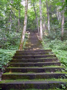 Escaliers Mont Tianzi